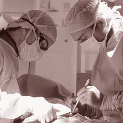 1st ESVS mastercl@ss live in Hamburg