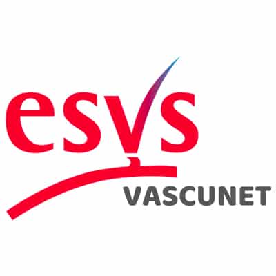 VASCUNET Spring Meeting 2020